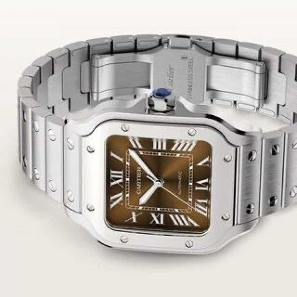 Cartier D Santos Silver Brown Autom
