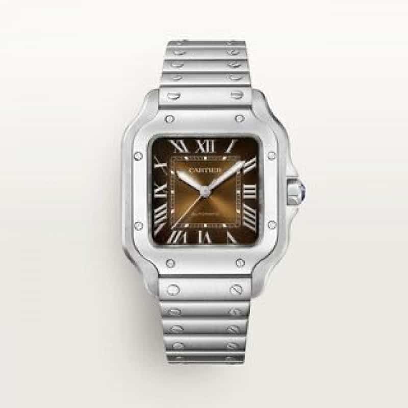 Cartier D Santos Silver Brown Autom