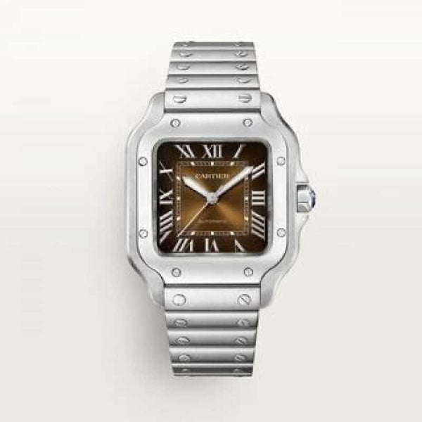Cartier D Santos Silver Brown Autom