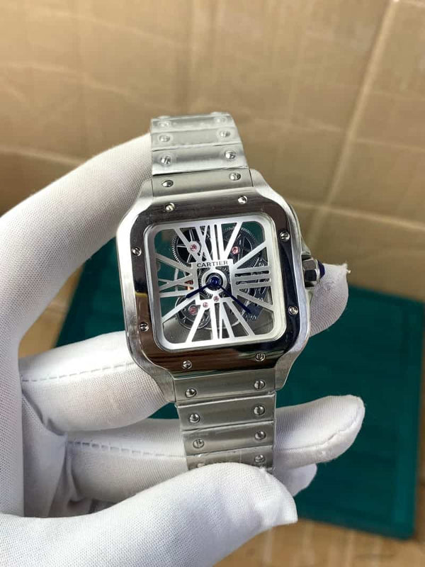 Cartierr Santos Skeleton