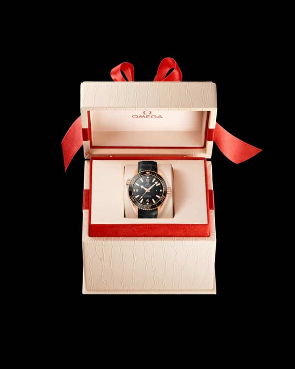 Omegaa Sea Master Planet Ocean 600m