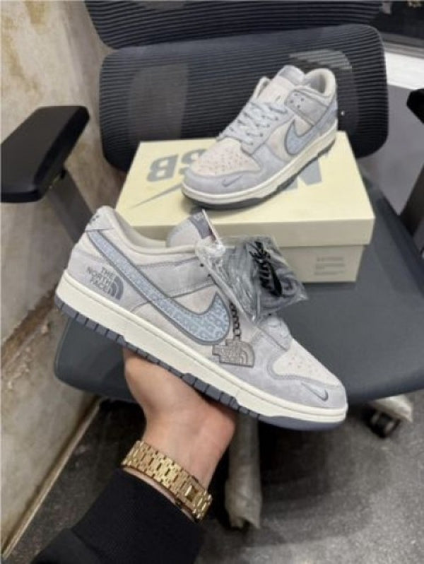 Nike sb dunk low x north face