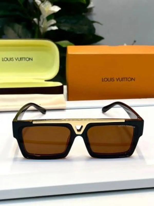 _Louis_vuitton_1984_brown_black