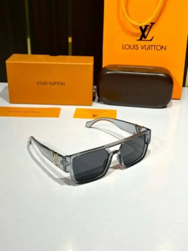_Louis_vuitton_3346_grey