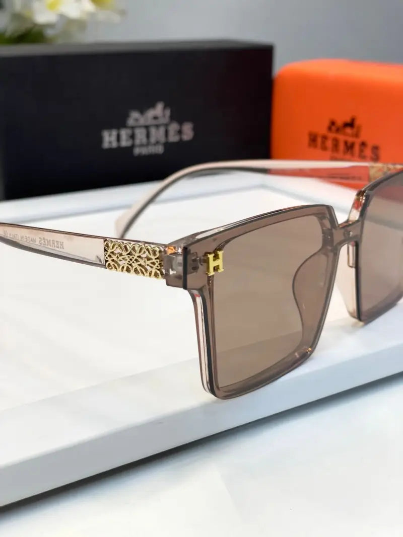 _Hermes_3112_