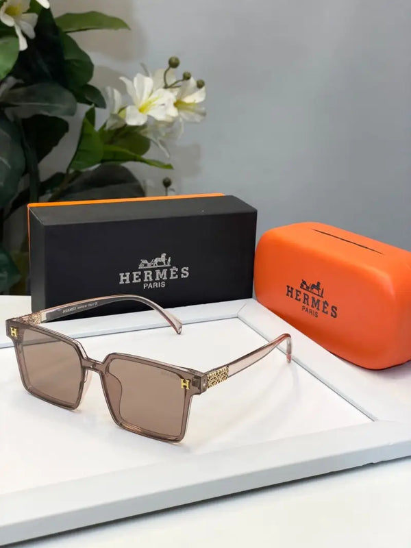 _Hermes_3112_