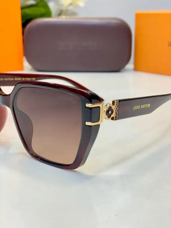 _Louis_vuitton_9910_brown