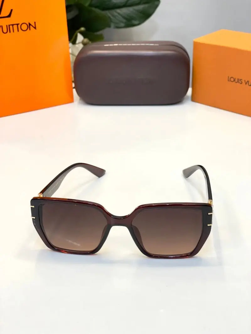 _Louis_vuitton_9910_brown