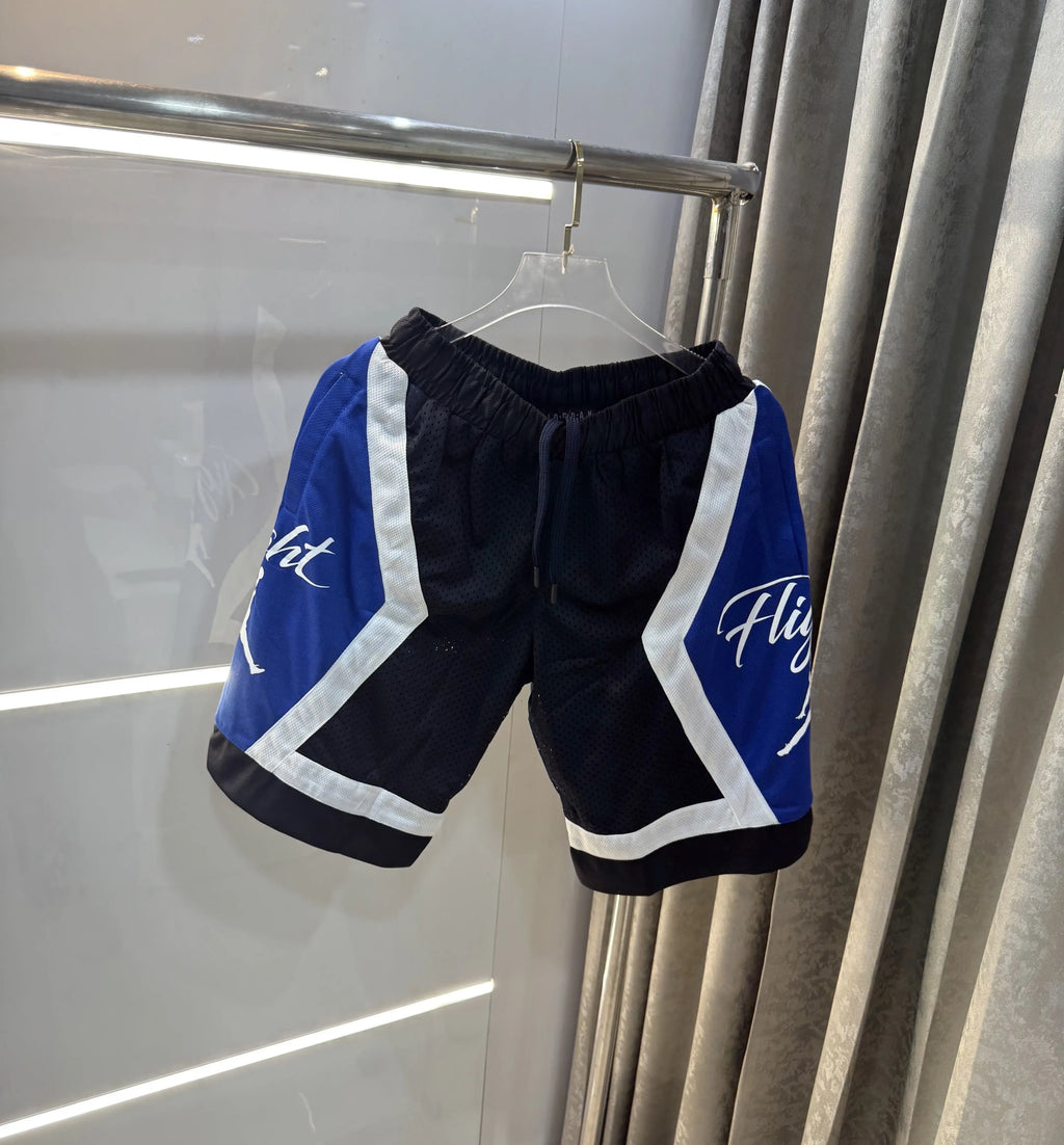 Air Jordan Blue Limited Edition Premium 🩳 Shorts