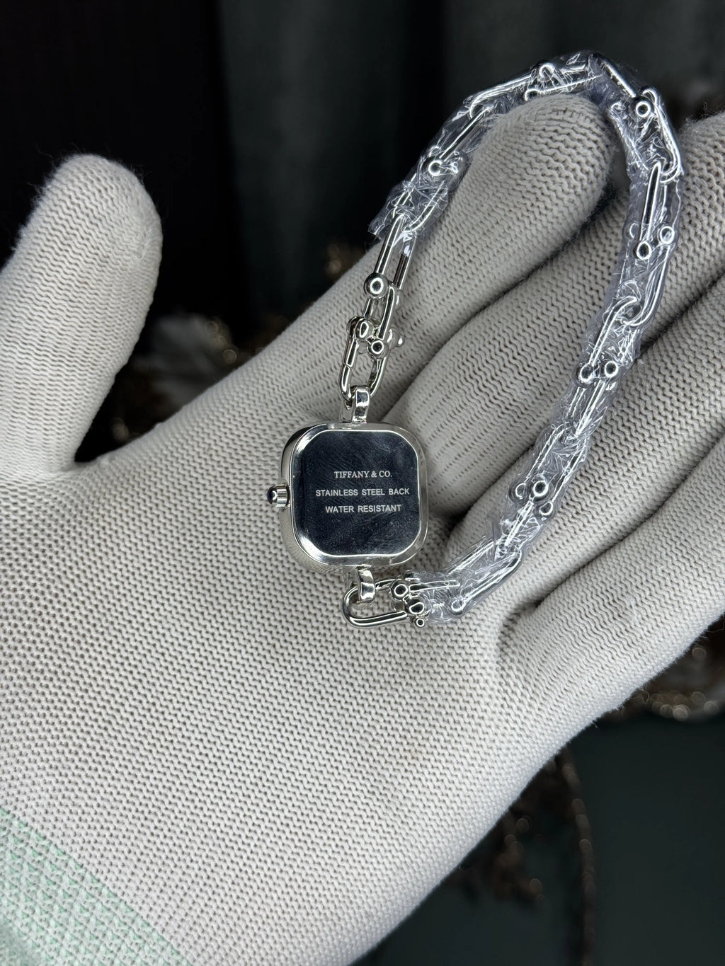 Tiffany&Co. Silver Blue Premium Ladies Watch