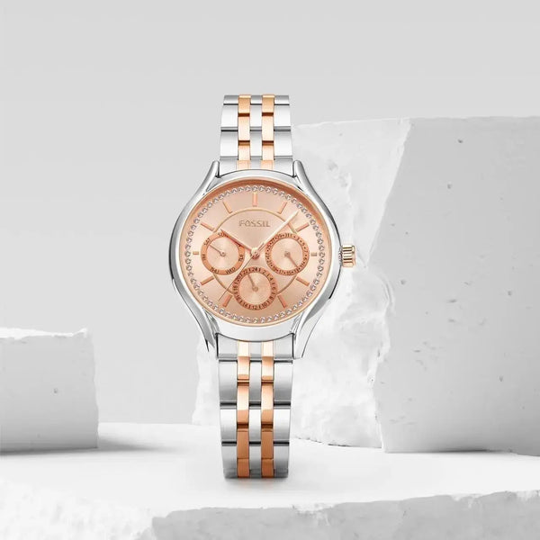 Fossil Eevie analog for her