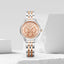 Fossil Eevie analog for her