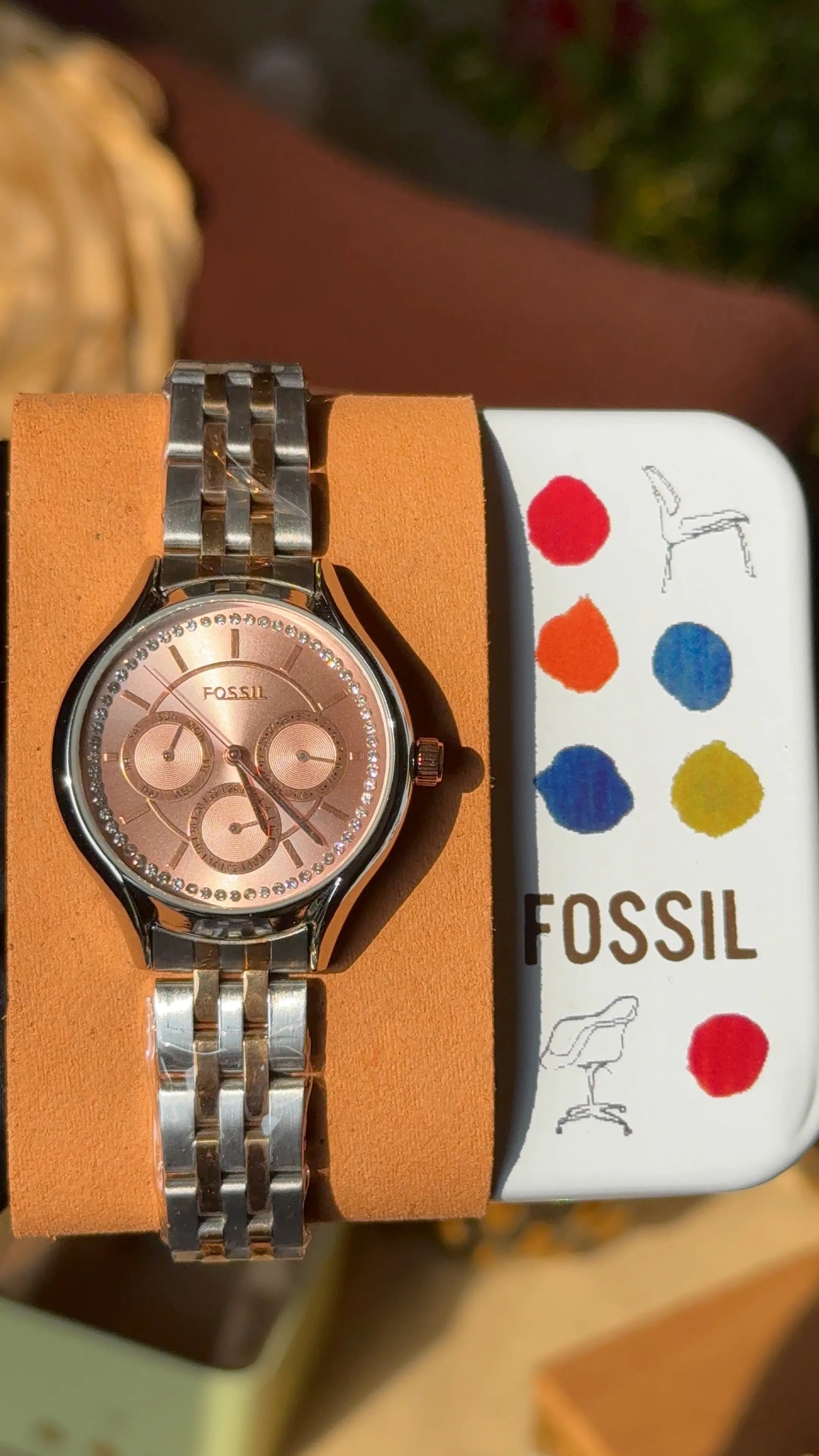 Fossil Eevie analog for her