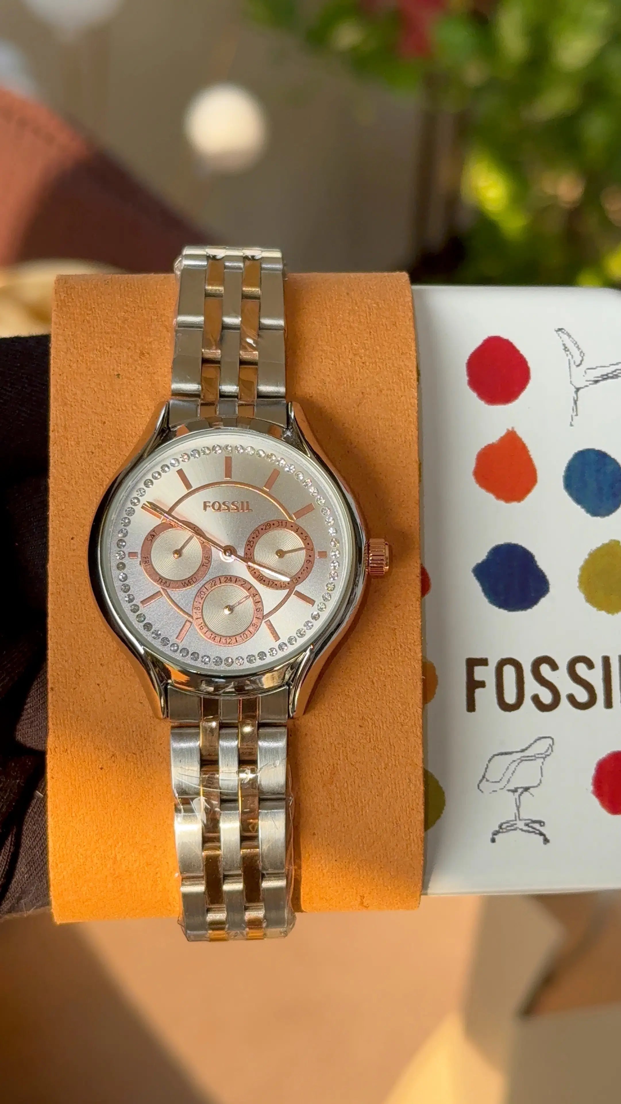 Fossil Eevie analog for her Secondary image