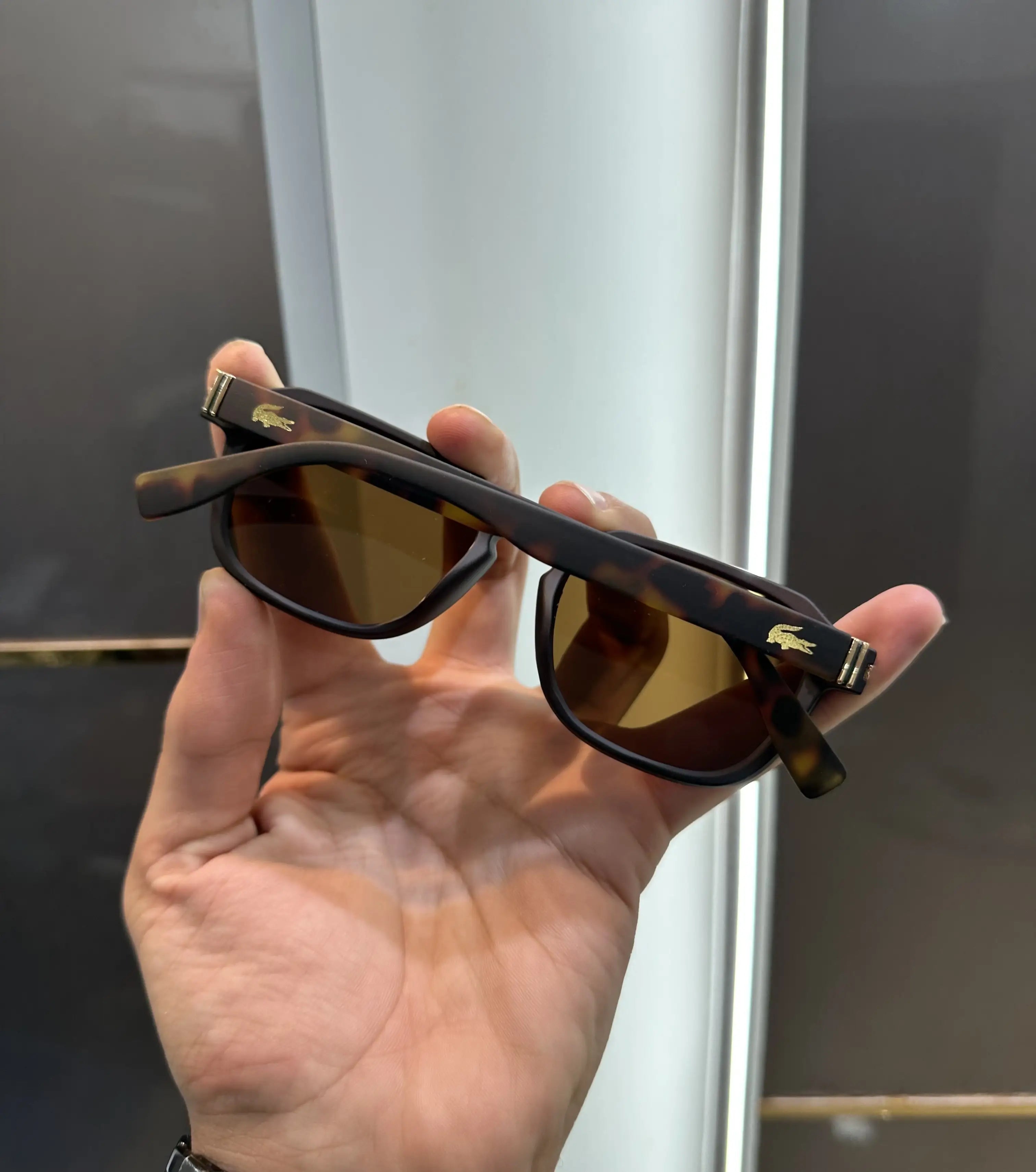 Lacost e Tiger Brown Premium Shades 6046