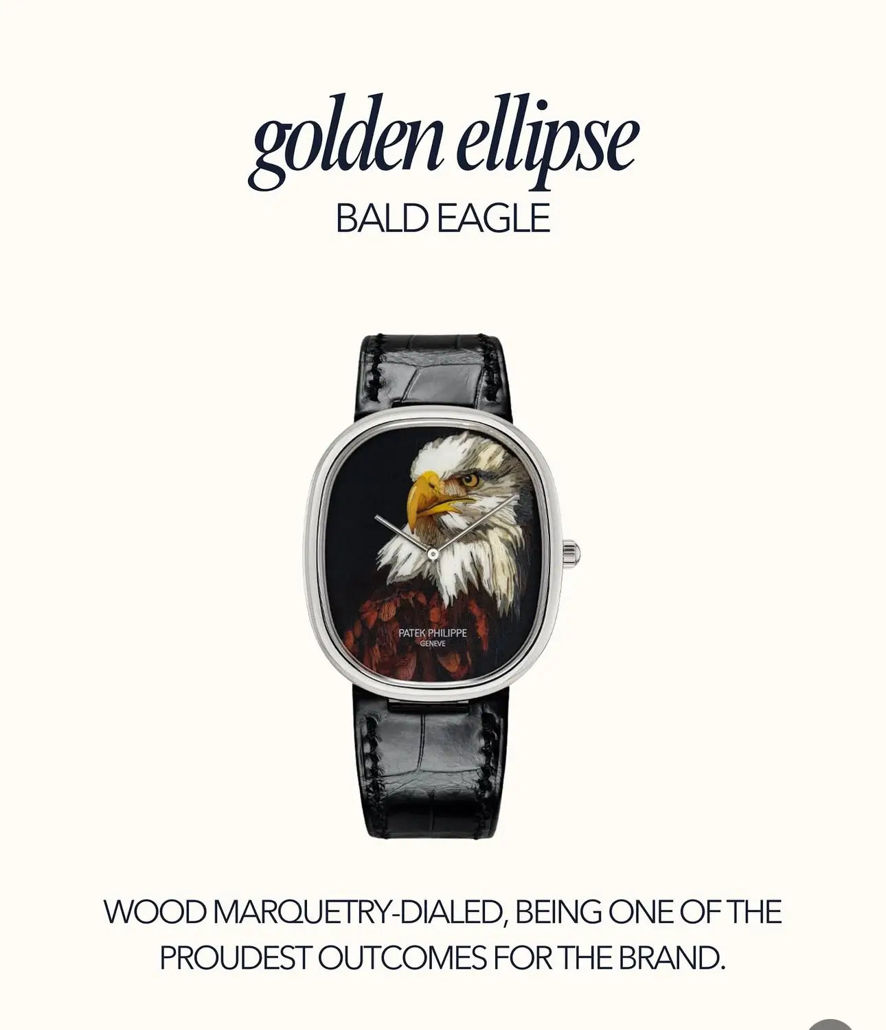 Patek Golden Ellipse Bald Eagle Premium Quartz Watch Main image
