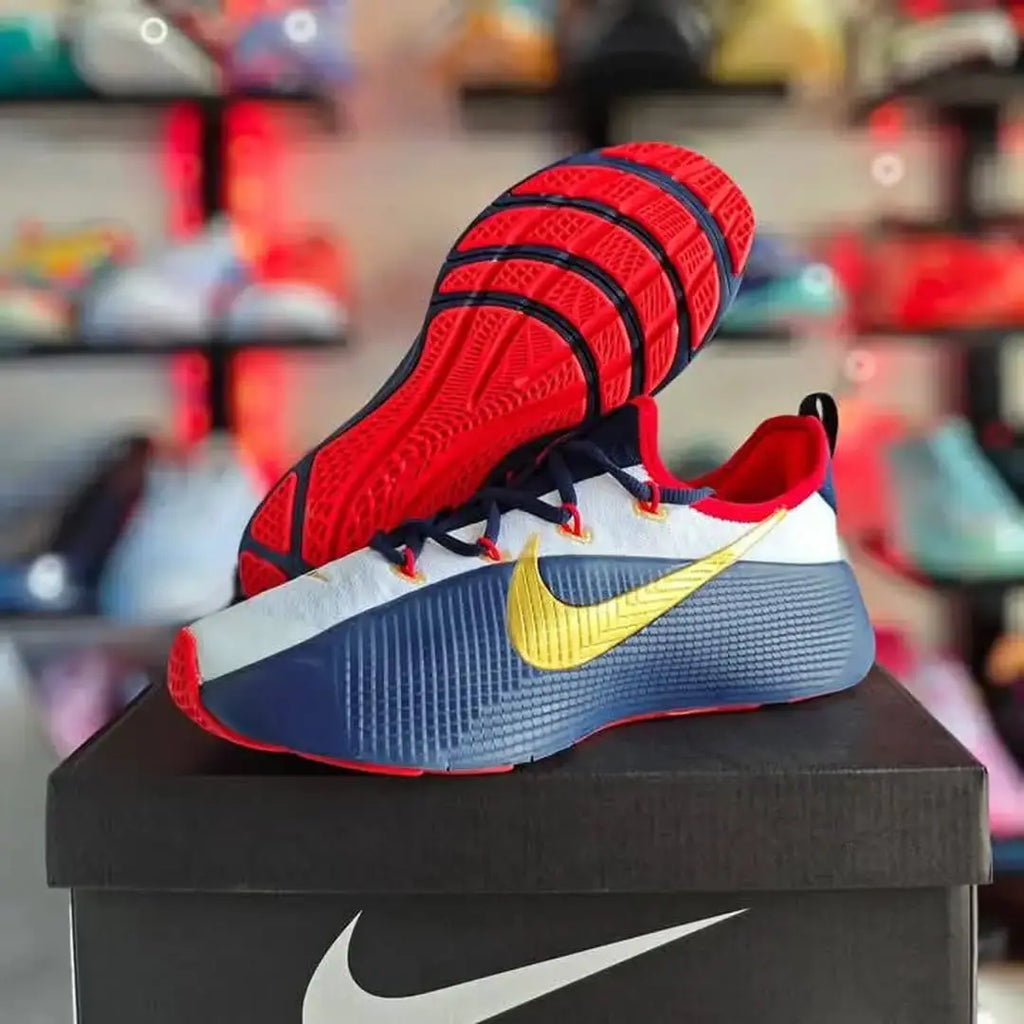 Nike LeBron ROYALTY TR 1 TEAM USA