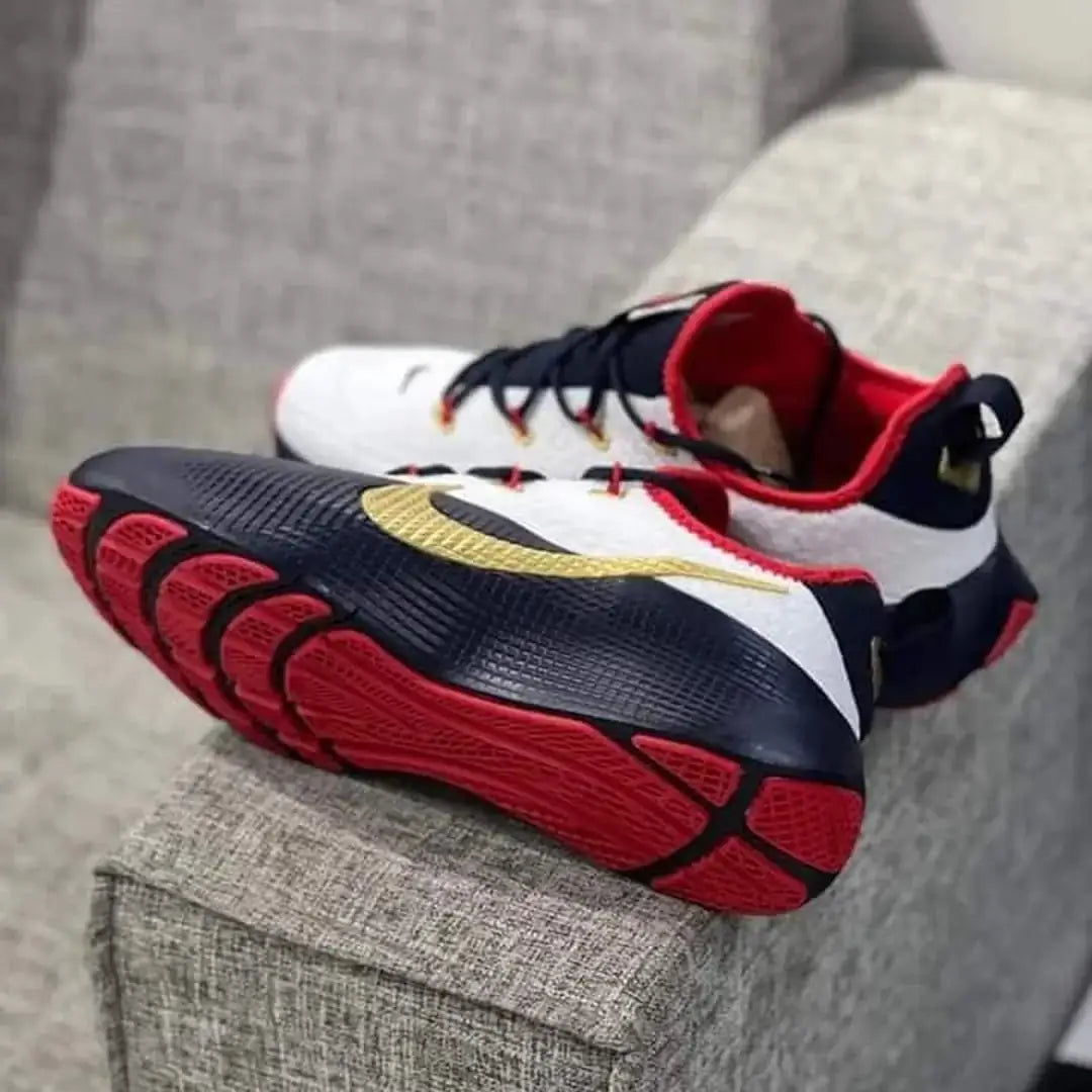 Nike LeBron ROYALTY TR 1 TEAM USA