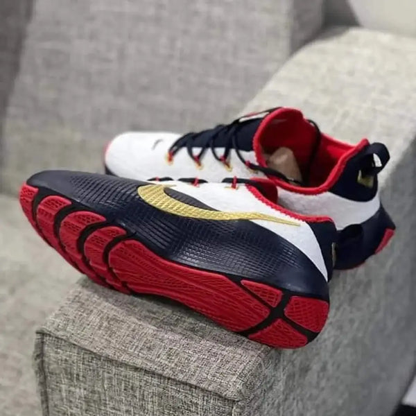 Nike LeBron ROYALTY TR 1 TEAM USA