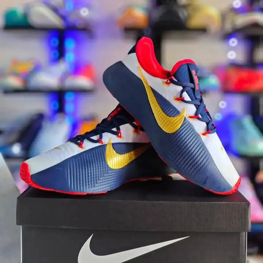 Nike LeBron ROYALTY TR 1 TEAM USA