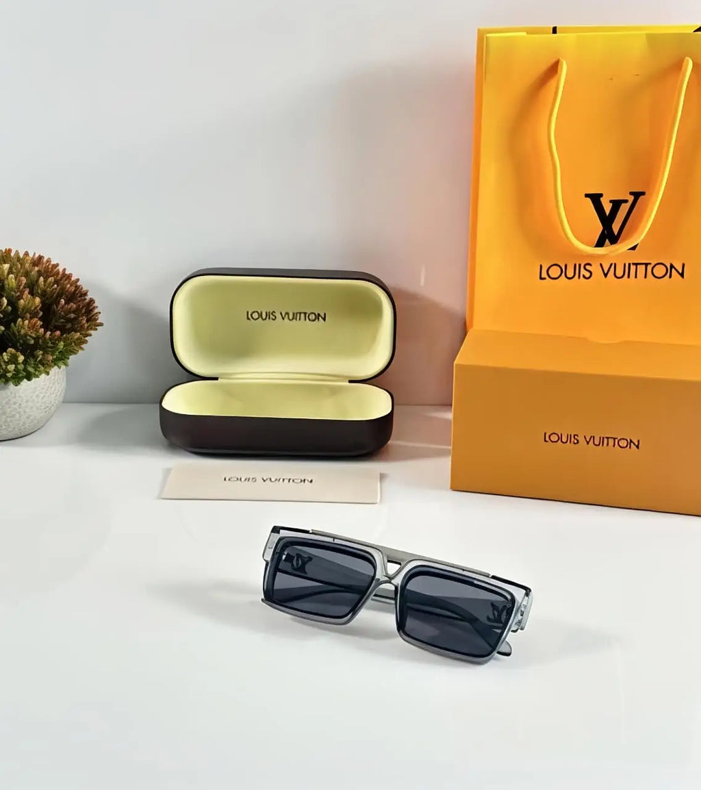 Louis Vuitton Grey