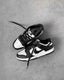 Nike Sb Dunk Low Panda