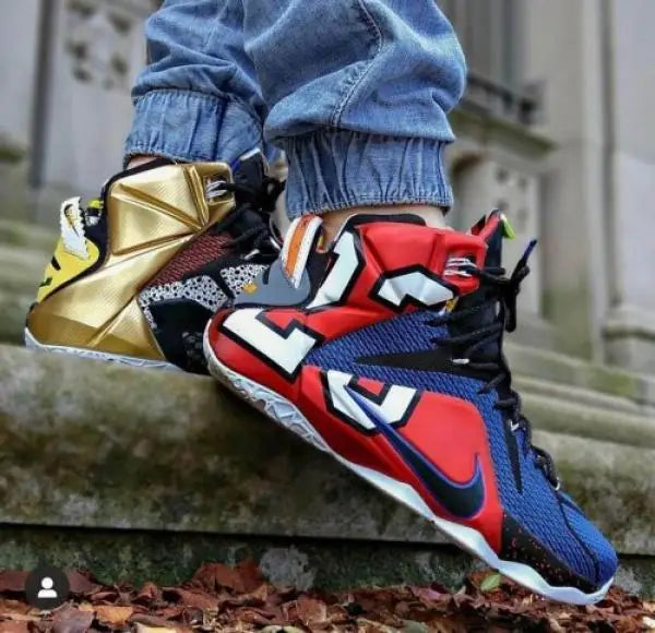 Nik_e Lebron 12 What The Lebron