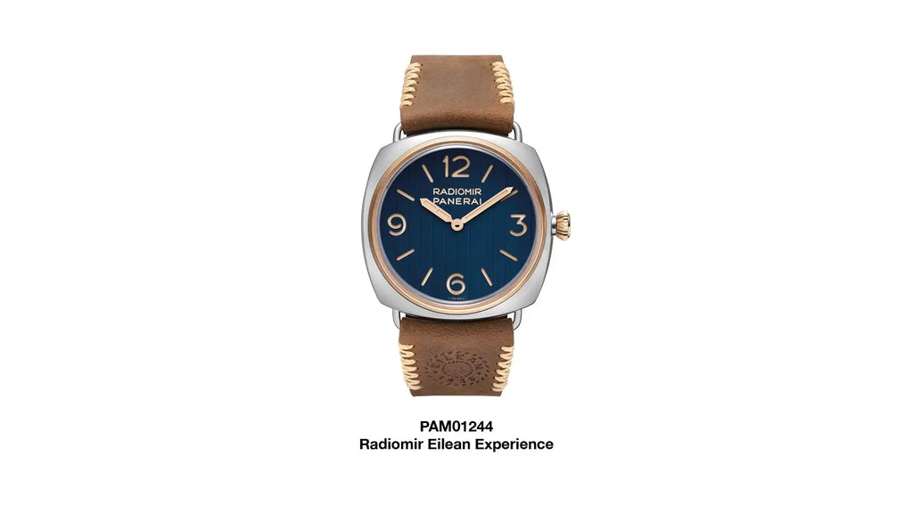 Radiomir Panerai Eliean Experience PAM01244-50 Piece Limited Edition