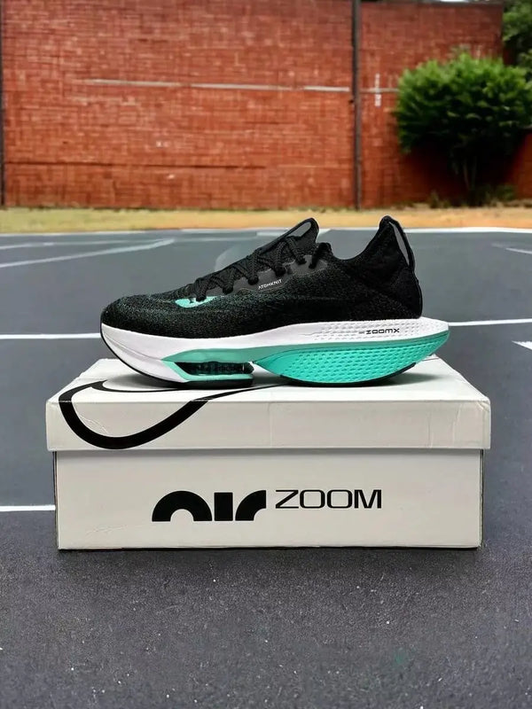 Nike_Zoom Alphafly Next 2 Black Blue Shoes