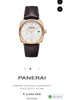 Panerai Radiomir Quaranta Brown White Premium Quartz Watch