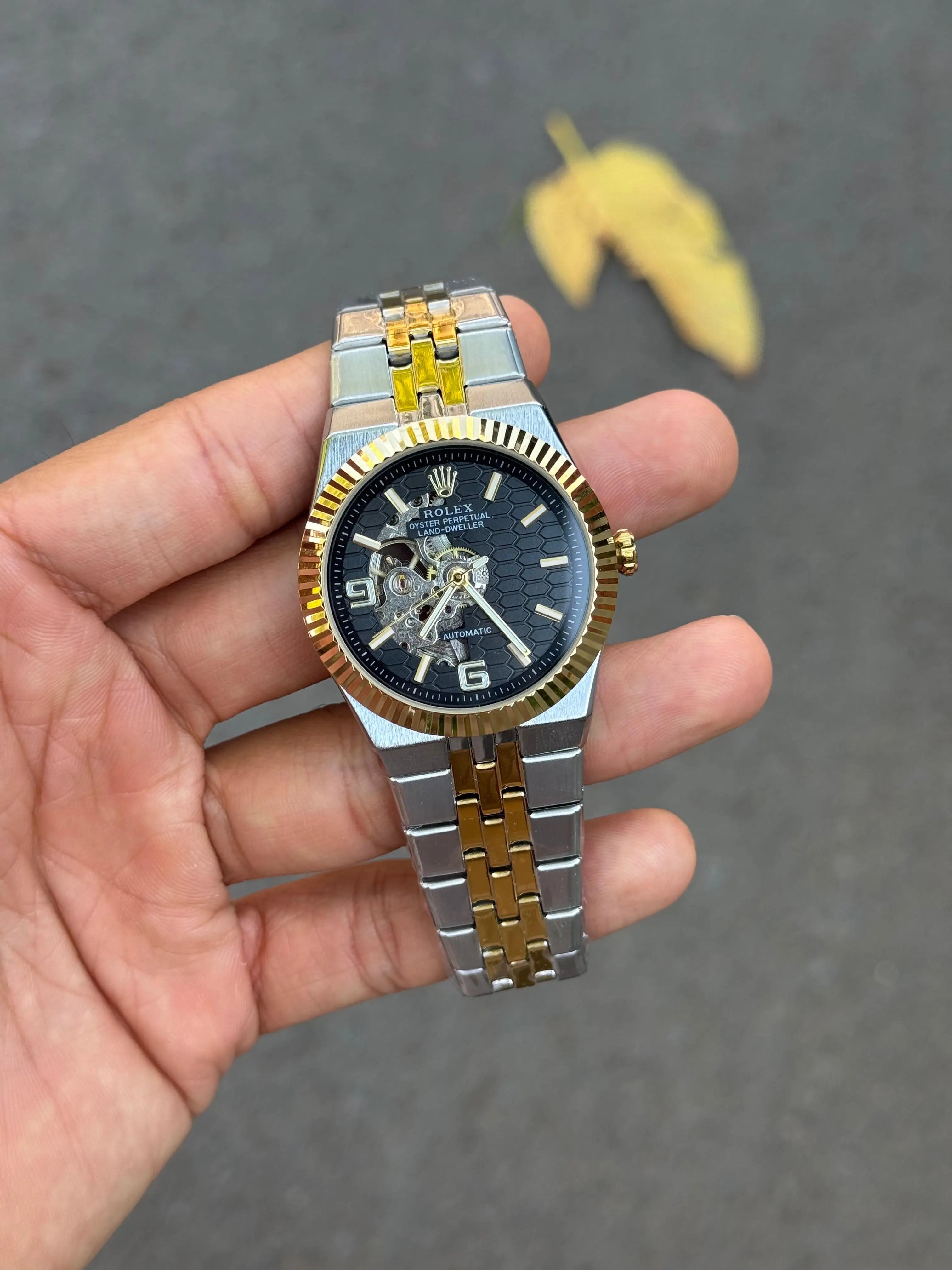 Role_x LAND DWELLER Oyster Perpetual Automatic Two Tone Black Dial Main image