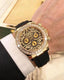 Role_x daytona tiger
