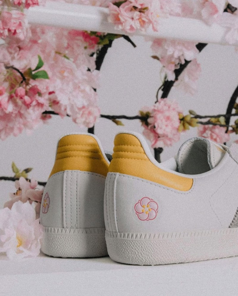 Adidass Samba X Kasina Consortium Y