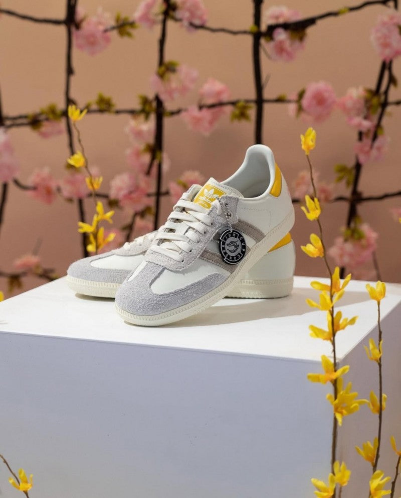 Adidass Samba X Kasina Consortium Y