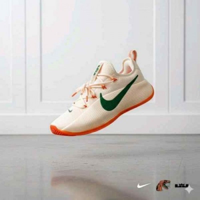 Nikee honors famu lebron tr1