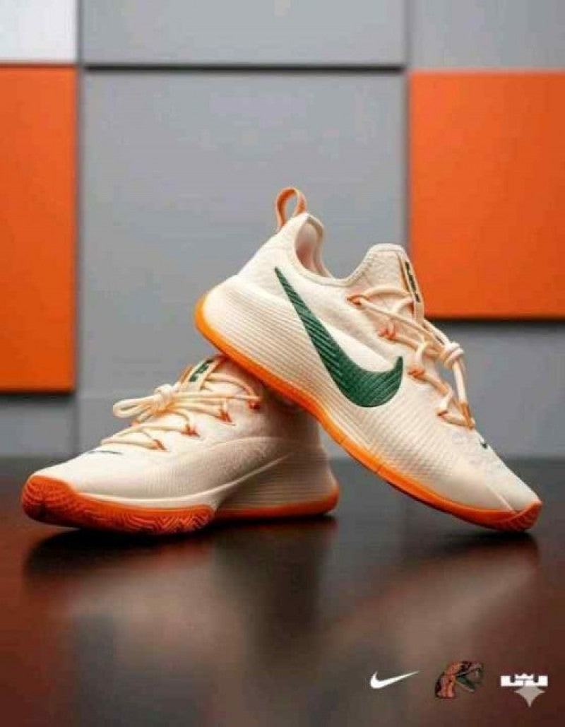 Nikee honors famu lebron tr1