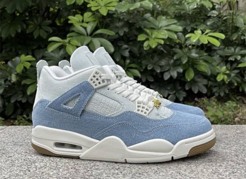 Air Jordan 4 Retro TEX Worn Blue De