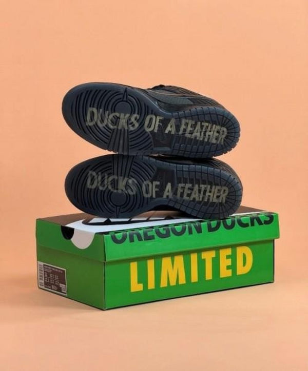 NNIKE SB DUNK DUCKS OF FEATHER BLACK UNIVERSITY OREGON SEMI UA