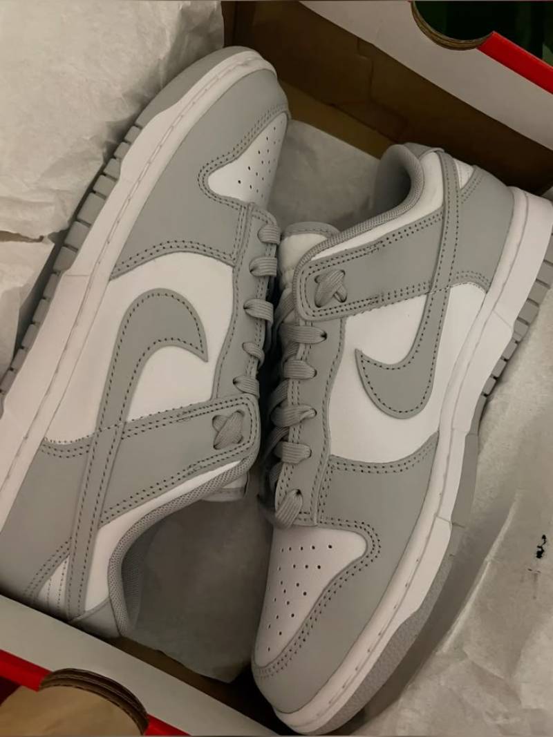 Nik e Dunk Low Grey Fog