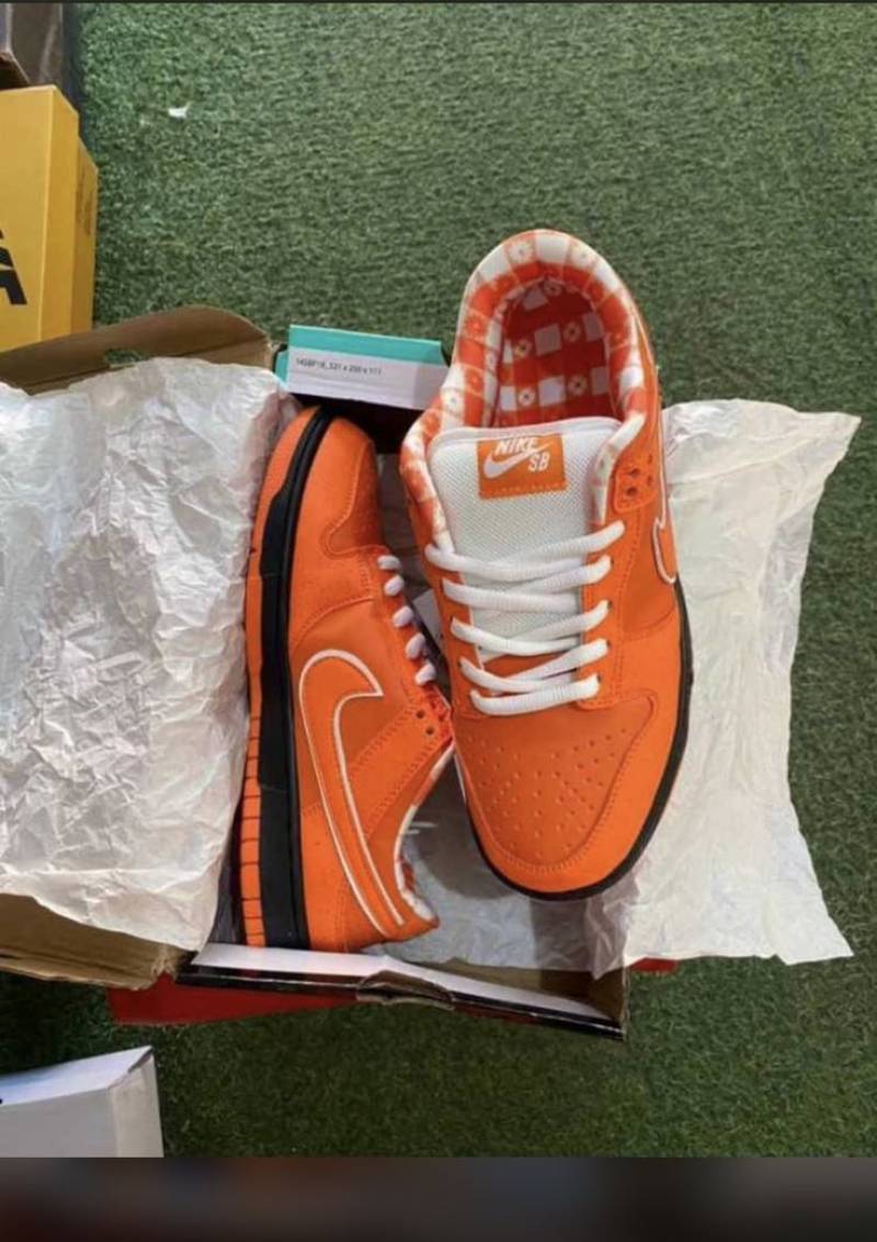 Concepts x dunk low sb orange lobster With Band 