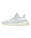 Yeezy 350 Static