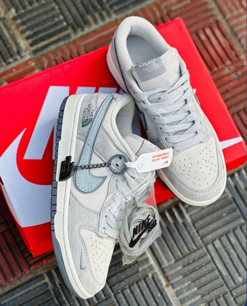 SB Dunk Low X North Face (248
