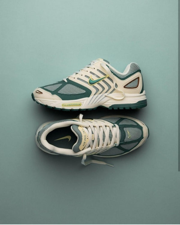 Air Pegasus 2005 Bicoastal (169 Sale Fix