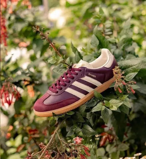 ADIDAS SAMBA CLASSIC MAROON WOMEN(FIX) Main image