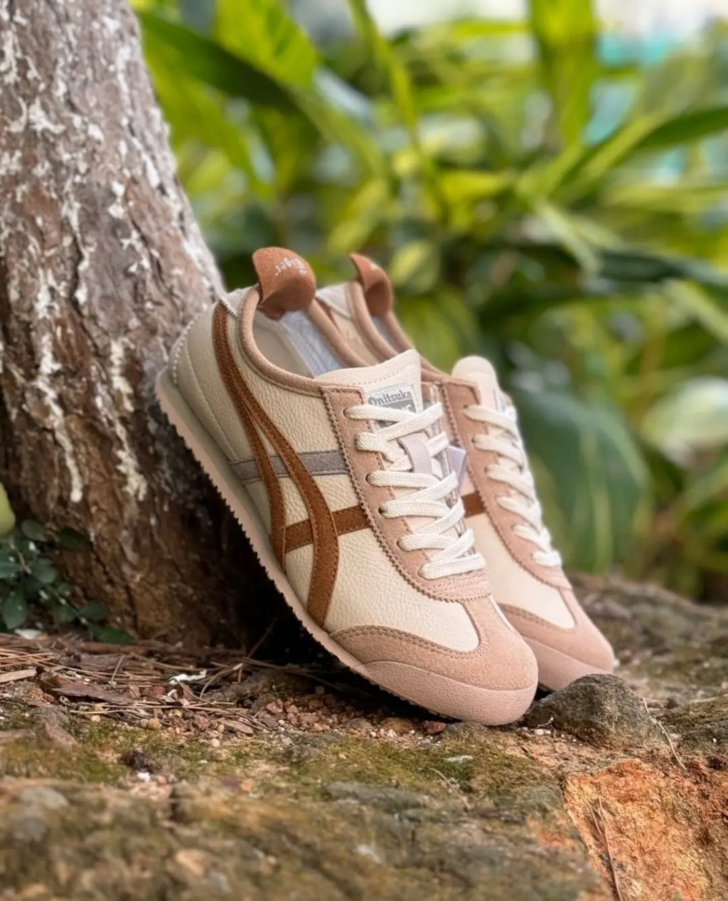 Onitsuka Tiger Mexico 66 Cream Khaki Carbon  7A Premium Sneakers India D-2055