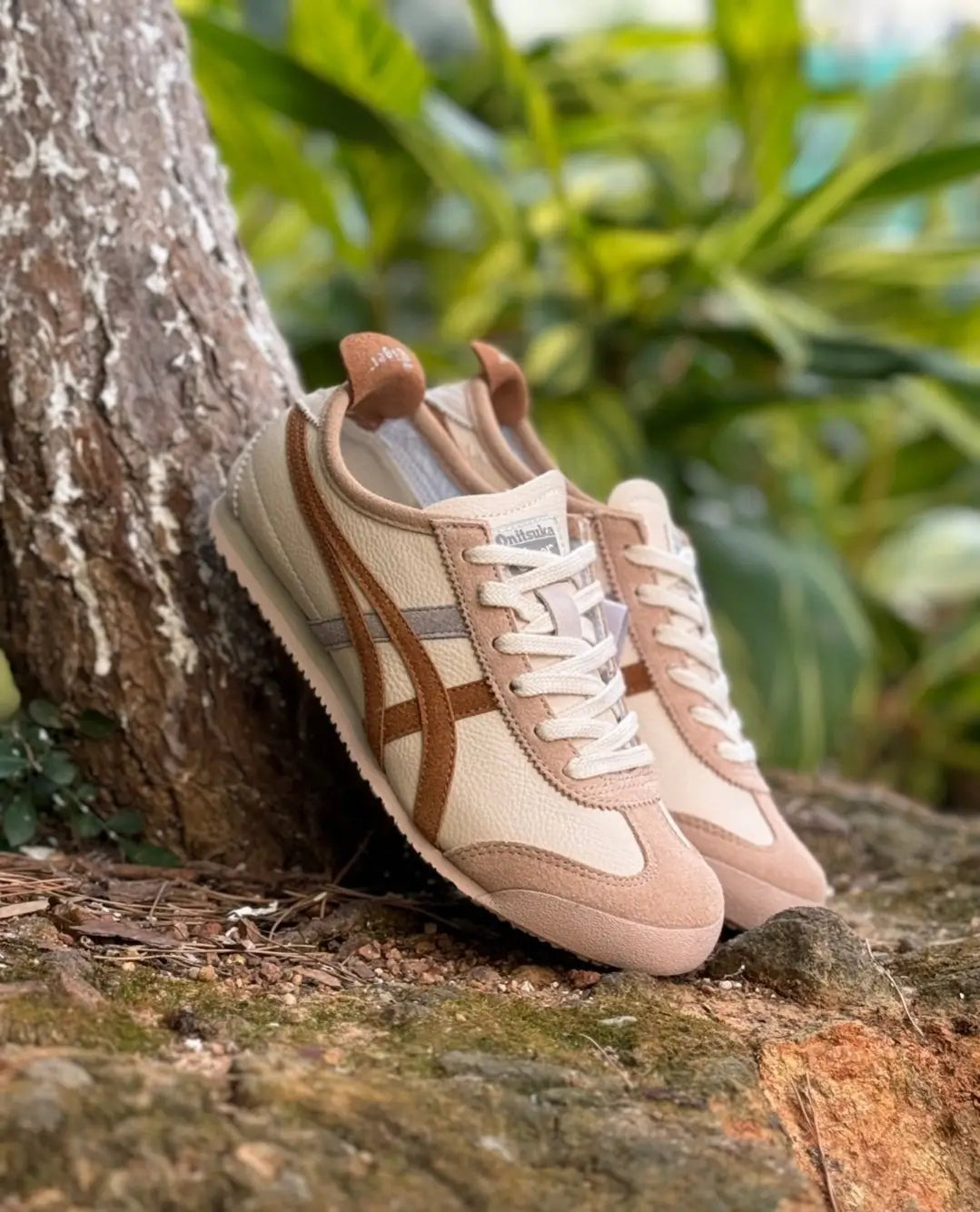 Onitsuka Tiger Mexico 66 Cream Khaki Carbon  7A Premium Sneakers India D-2055