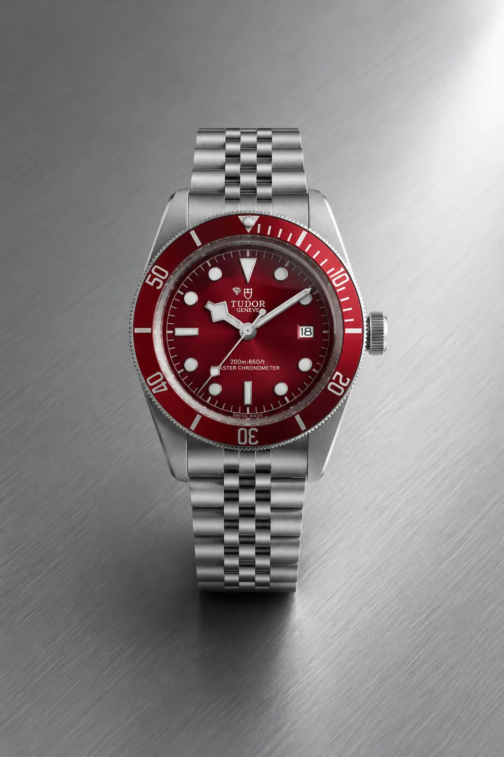 Tudor Black Bay Automatic ZR Quality Main image