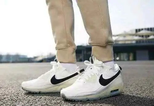 nikee airmax 90 terrascape sail