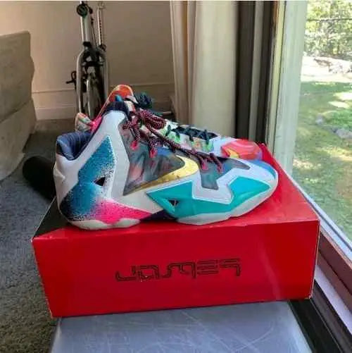 nikee Lebron 11 What The Lebron