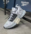 Reebok_Zig Kinetica Edge Grey